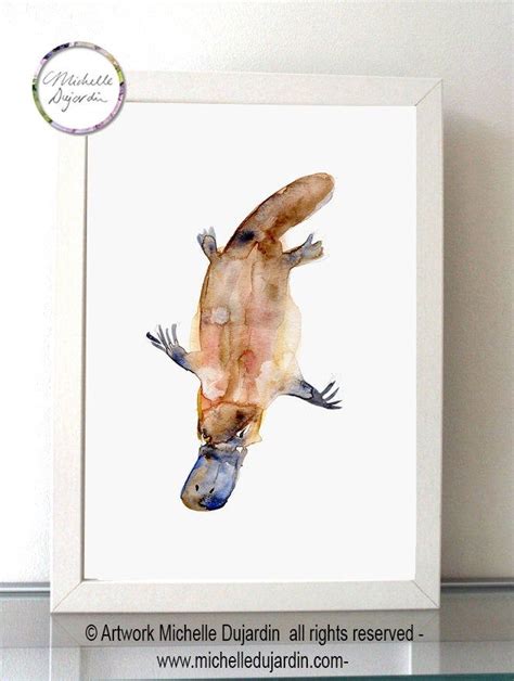 Platypus Art Platypus Watercolor Painting Giclee Print - Etsy | Platypus, Outdoor kitchen design ...