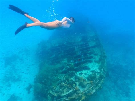 Snorkeling in Barbados | Best Beaches to Snorkel in Barbados – Explore ...