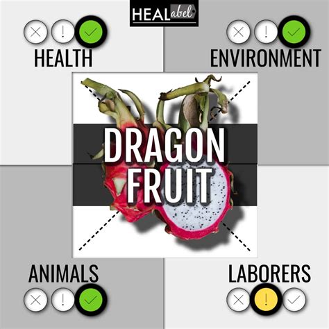 Dragon Fruit Benefits, Side Effects: Low Fodmap, Gluten, Acidic?