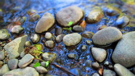 pond, Rocks, Nature Wallpapers HD / Desktop and Mobile Backgrounds