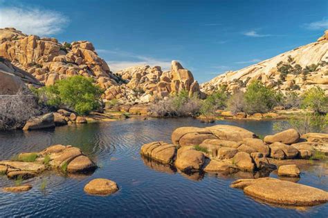 The 10 Best Hikes in Joshua Tree National Park - Roaming the USA