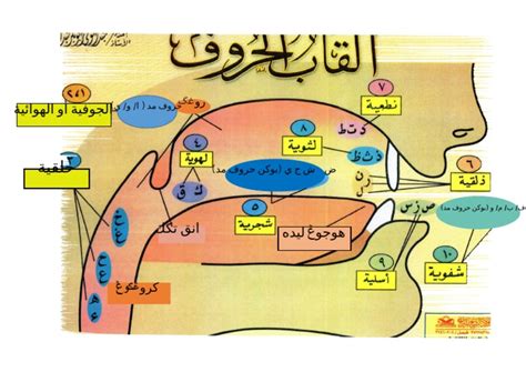 Makhraj Huruf Siap Edit Word | PDF