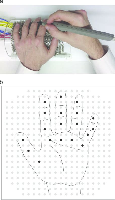 Stimulation device. (A) The stimulation device with one hand placed on ...