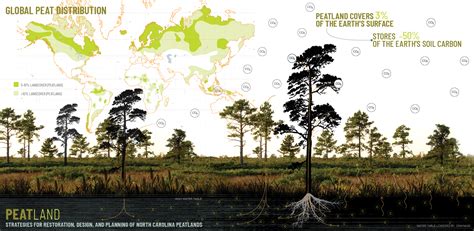 Peat/Land: Strategies for Restoration, Design, and Planning of North ...