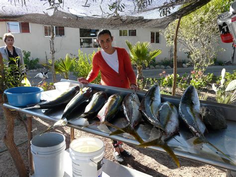 san quintin,weather,protests & fish. | Bloodydecks