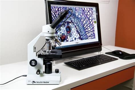 9 Best Digital Microscopes (Winter 2024) – The Complete Guide