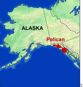 Chugging North: Pelican