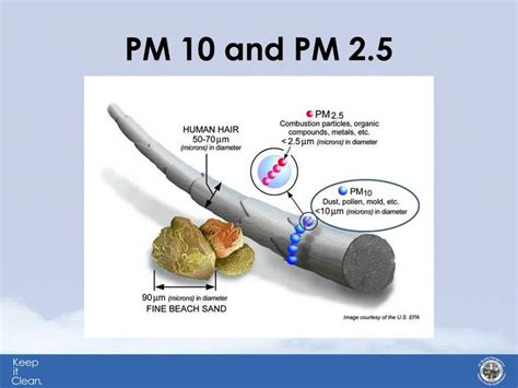 มาทำความรู้จักกับฝุ่นพิษ PM2.5 กันเถอะ! | particulate matter คือ ...