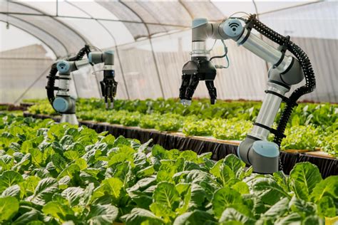 Robotics and automation farming to get £12.5m gov support