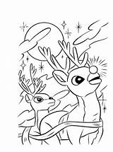 Reindeer Coloring Pages  Clowncoloringpages sketch template