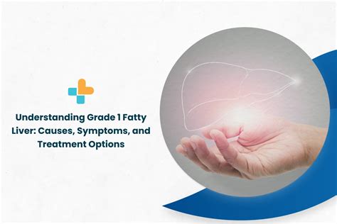 Understanding Grade 1 Fatty Liver: Causes, Symptoms, And Treatment Options