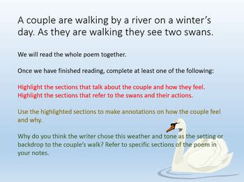 Love and Relationships - Winter Swans by ECPublishing | TpT