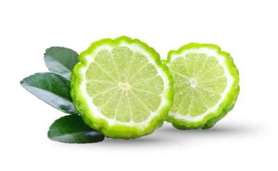 Citrus Bergamot Guide: Benefits, Dosage Info, Safety & More