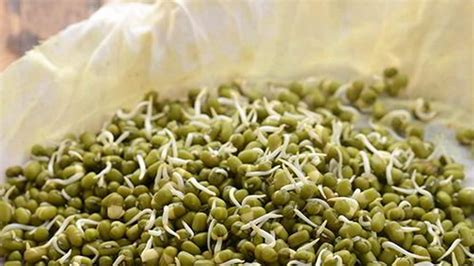 Health Benefits of Moong Sprouts - News18