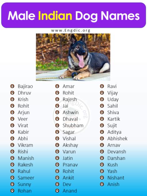 400+ Cute Indian Dog Names (Male, Female, Pups) - EngDic