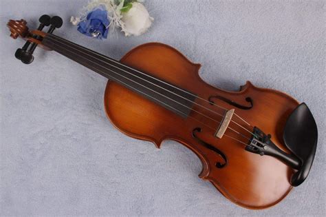 9 Different Types Of Violins – (Uses, Sounds & More)