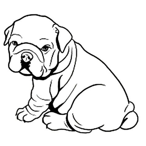 Download Bulldog coloring for free - Designlooter 2020 👨‍🎨