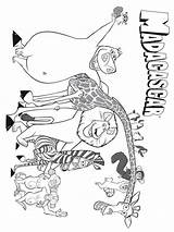Madagascar Coloring Pages sketch template