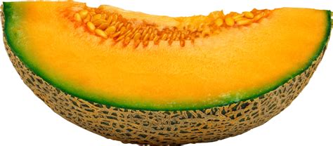 Cantaloupe Slice Download HD Transparent HQ PNG Download | FreePNGImg