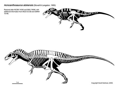 How beautiful is this Acrocanthosaurus atokensis? | Prehistoric animals, Prehistoric creatures ...