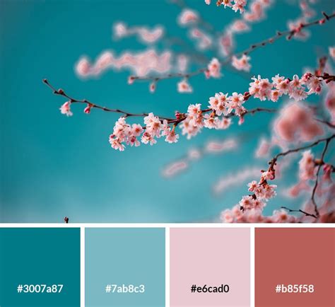 Cherry Blossom Procreate Color Palette 2544602 - vrogue.co