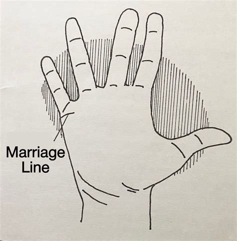 Palm Reading – Marriage Line in Hand | Palm Reading Guide – Palm Reading