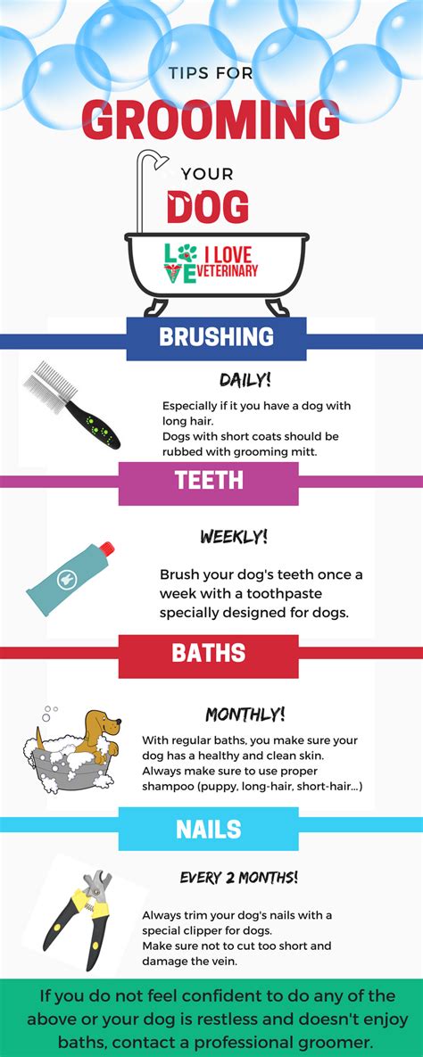 Tips for Grooming your Dog | Grooming, Tips, Pet health care