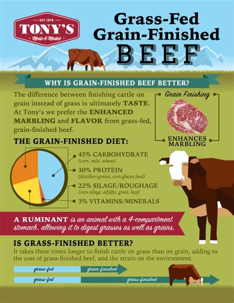 The Benefits of Grass-Fed, Grain-Finished Beef - Tony's Meats & Market