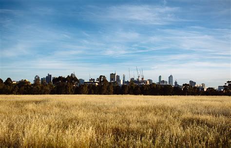 Royal Park Paddock | Melbourne Street