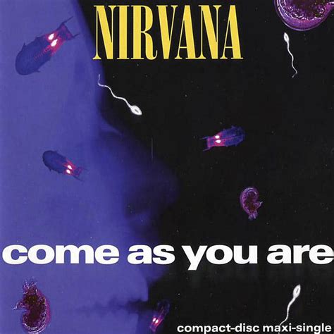 NO PICTURES REVIEWS: NIRVANA – COME AS YOU ARE (DGC)