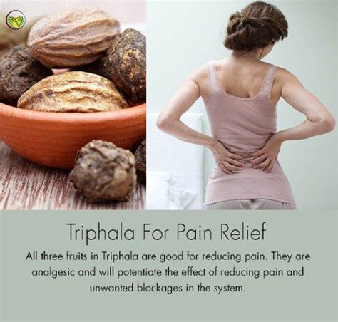 Triphala Benefits, Side Effects, Uses, Triphala Dosage, Churna ...