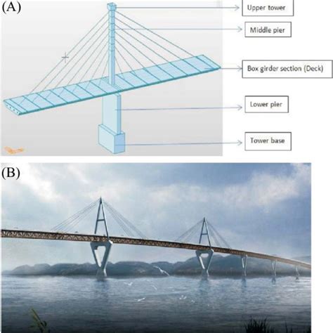 (A) Extra dosed Bridge. (B) Cable stayed bridge. | Download Scientific ...