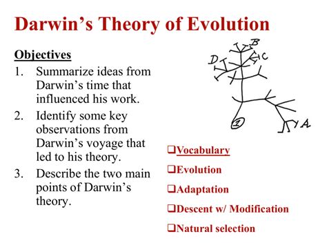 Ch. 14.1: Darwin developed a Theory of Evolution