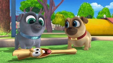 Puppy Dog Pals: Going on a Mission | Blu-ray/DVD Reviews | Popzara Press