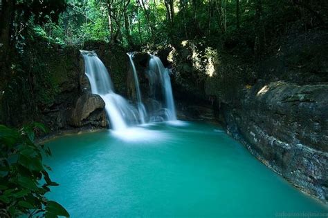 Find out the best of Bohol Attractions