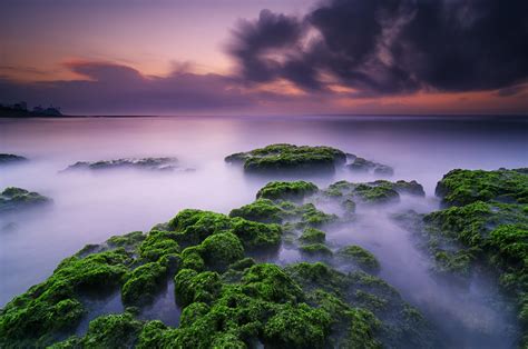 Green Moss of Manyar | Manyar Beach, Ketewel, Bali - Indones… | Flickr