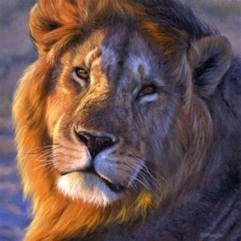 Best Documentaries On African Wildlife | HubPages