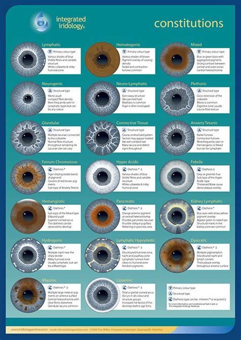 the constA2.indd | Iridology, Iridology chart, Health chart