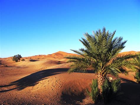 Desierto del Sahara Marruecos - Blog especializado Viajes a Marruecos