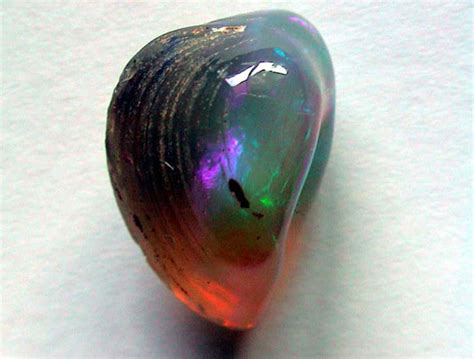 opal fossil shell | Flickr - Photo Sharing!