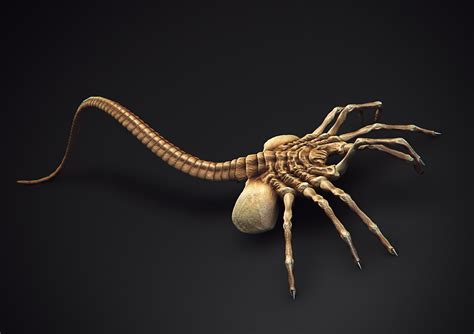 Elizabeth Shaw and the Facehugger - Alien: Covenant Forum