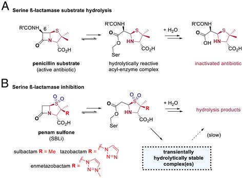 Enamine Acid Hydrolysis Acid Solution