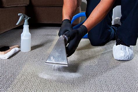 Best Carpet Cleaning Services in Bangalore | Carpet Shampooing Services ...