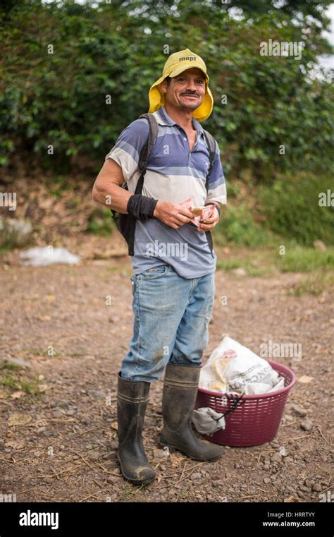 A coffee worker poses for a photograph on a coffee farm in Aquires, Costa Rica Stock Photo - Alamy