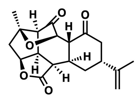 Synthesis Workshop: August Round-up! : r/Chempros