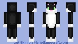 Black Cat Minecraft Skin