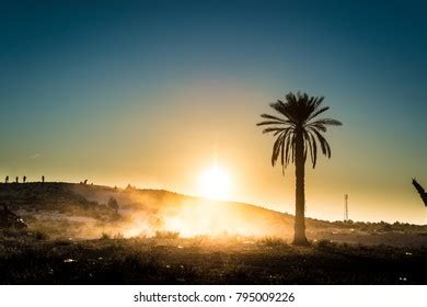 Desert Activities Douz Kebili Tunisia Stock Photo 795009226 | Shutterstock