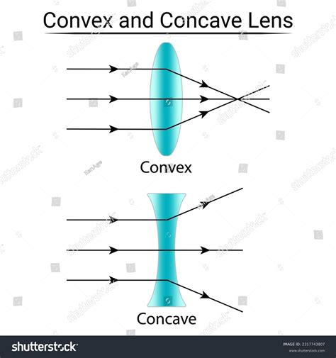 8+ Thousand Concave Convex Royalty-Free Images, Stock Photos & Pictures | Shutterstock