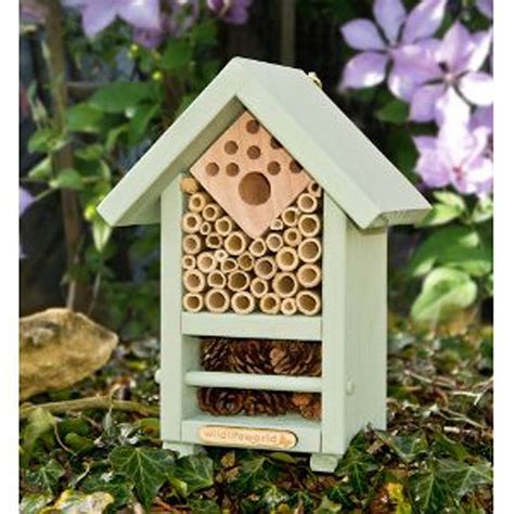 bee and bug habitat with wildflower seeds by garden selections | notonthehighstreet.com