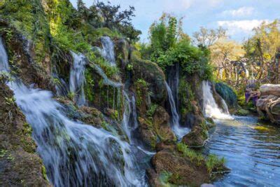 8 STUNNING Waterfalls in Florida ️ by a Local (+Map)